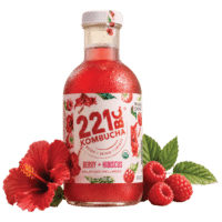 Berry Hibiscus Kombucha