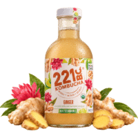 Ginger Kombucha
