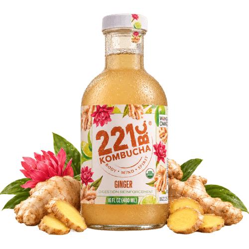 Ginger Kombucha