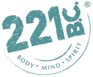 Kombucha 221 BC logo