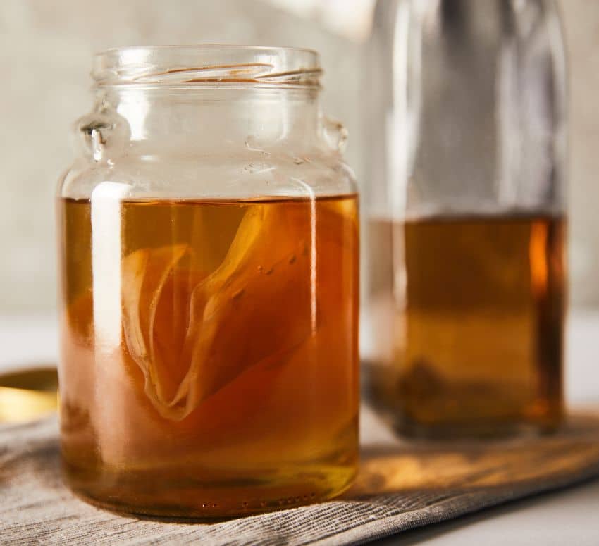 SCOBY fermenting in jar