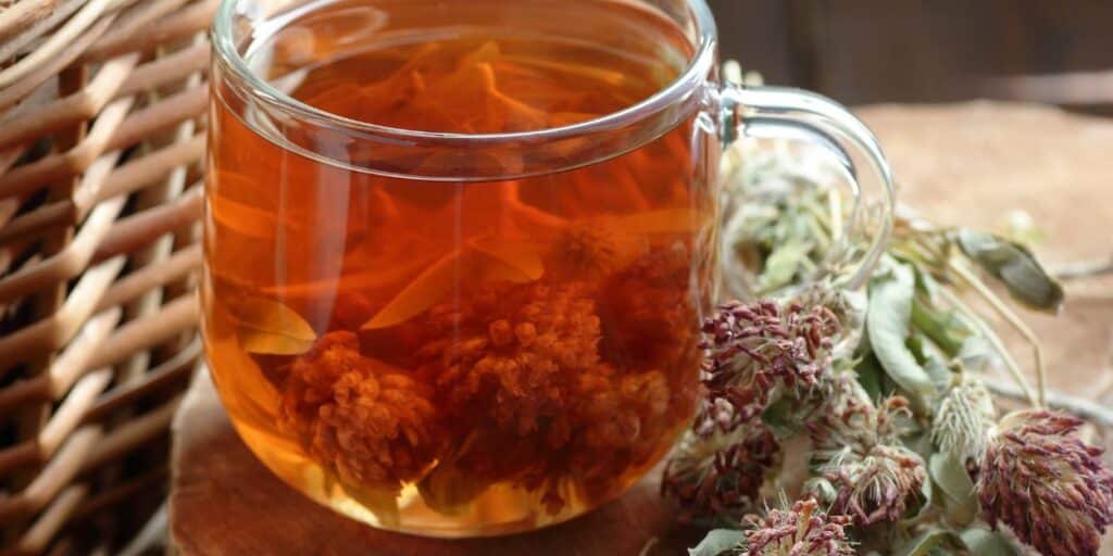 red clover tea