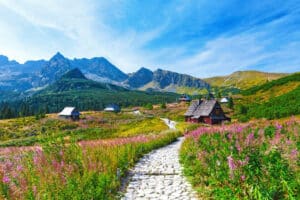 Little Village in Poland