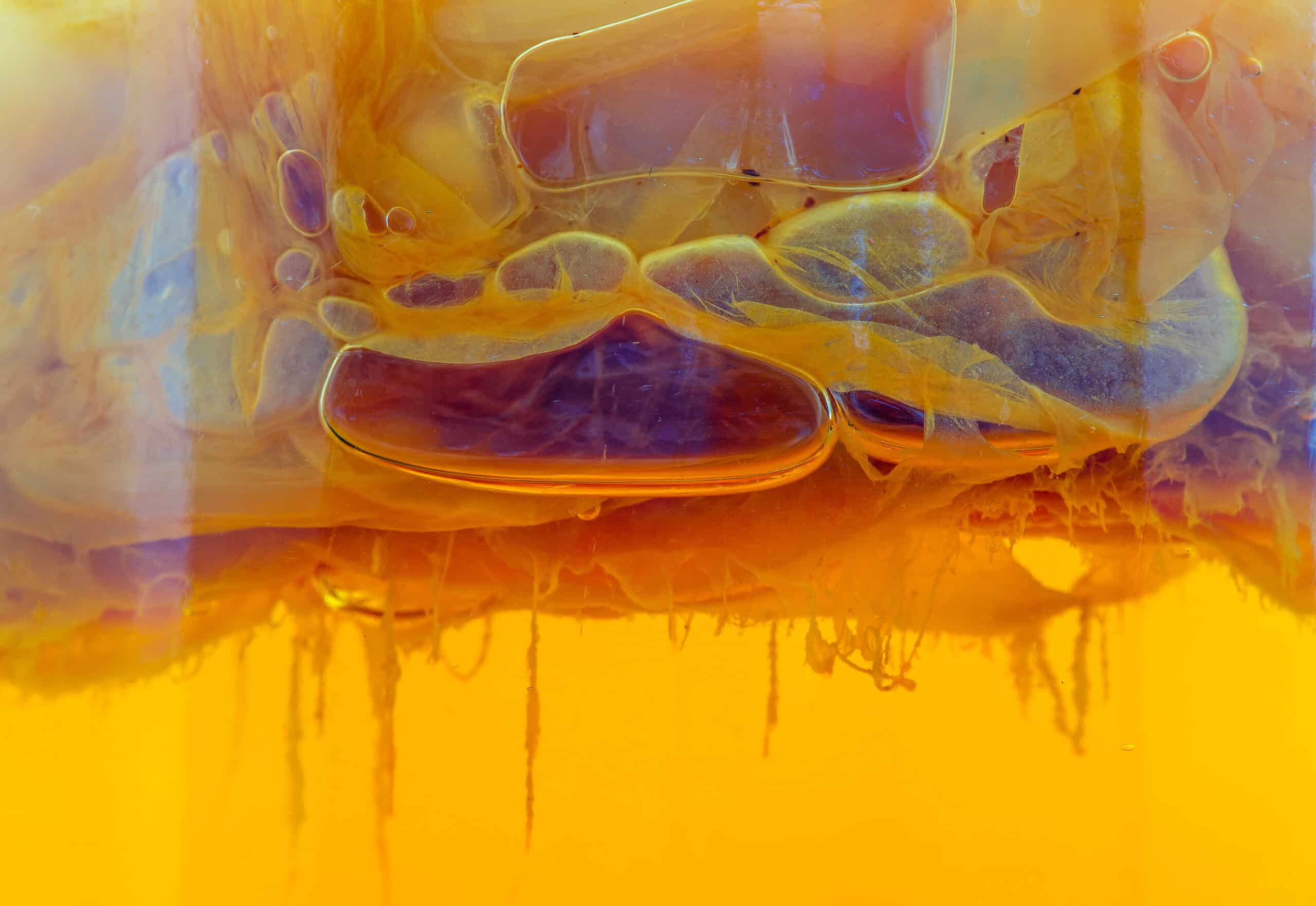 Floating Blobs? Tiny Aliens? Here’s the Truth About Live Cultures in Kombucha