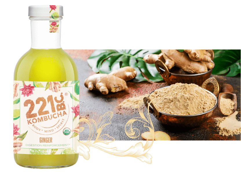 ginger kombucha
