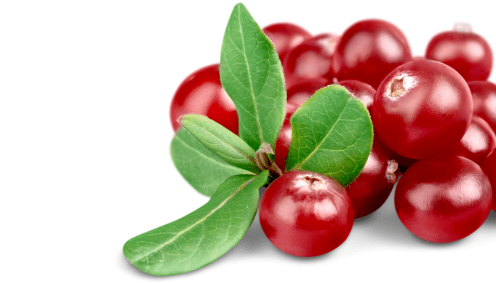 cranberries