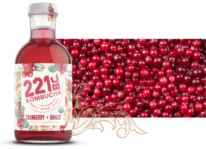 cranberry ginger kombucha