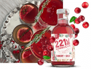 Cranberry Ginger Mocktail