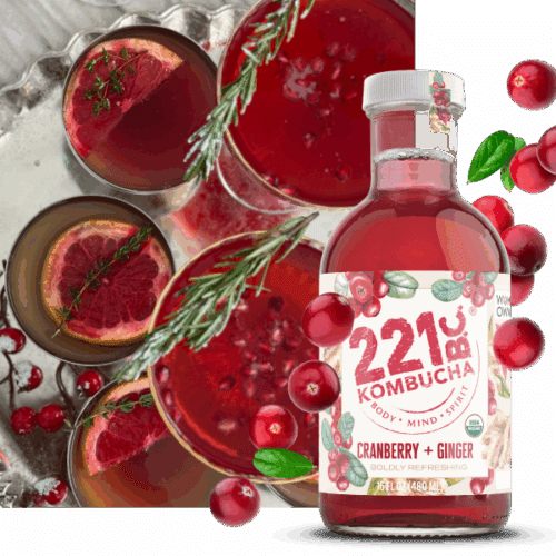 Cranberry Ginger Mocktail