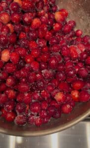 WINTER’S BRIGHTEST MEDICINE: Why Cranberries Belong to the Cold Season
