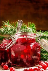 Ancestral Cranberry Sauce (Chunky + Kombucha-Soaked)