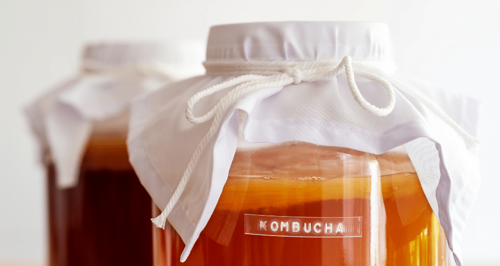 is kombucha good for gut health