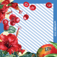 Limited Edition - Market Day Bandana